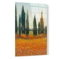thumbnail image 2 of Epic Art 'Cypress Trees I' by Tim O'Toole, Acrylic Glass Wall Art, 16"x24", 2 of 3