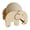 A, variant on Sisal Cat Scratcher Ball, 360 Degree Rotating Toy with Sturdy Wooden Base, Interactive Kitten Scratching Post for Boredom Relief, Natural Fiber Grinding Claw Tool for Furniture Protection