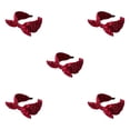 thumbnail image 3 of VONKY Bandes de Style Coréen pour les Femmes Confortables et Absorbant la Sueur Vin Léger Rouge 5Set, 3 of 6