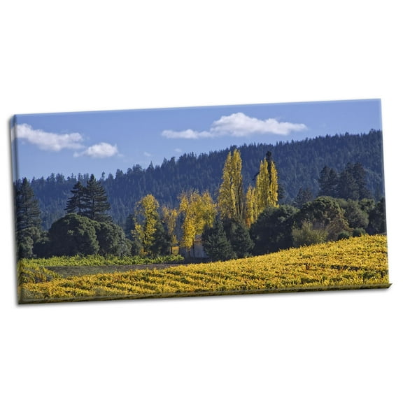 Gango Home Decor Autumn Gold I by Rita Crane (Ready to Hang); One 36x18in Hand-Stretched Canvas