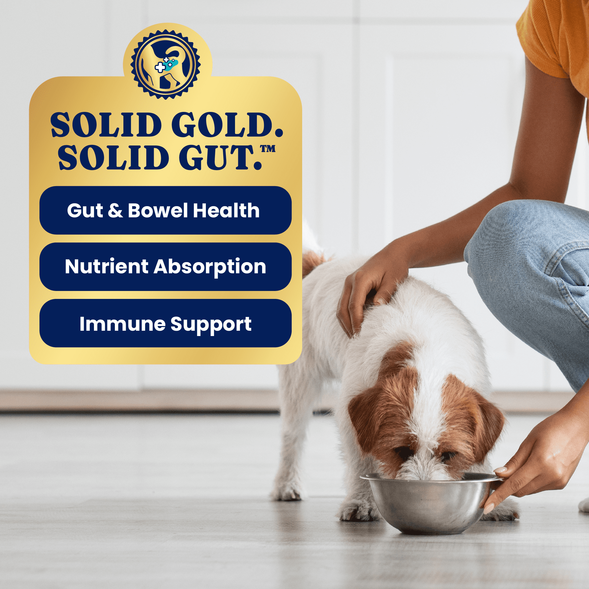 Solid Gold Toy & Small Breed Variety Pack Wet Dog Food, 3.5oz tray, case of 12