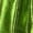 1-Green1663, variant on Kiijoy Kids Girls Metallic Leggings Stretchy Stage Performance Dance Tights, Sizes 3-10