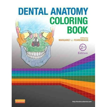 dental anatomy coloring book  walmart
