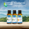 thumbnail image 2 of Earth's Care Eucalyptus Essential Oil - 100% Pure, Steam Distilled - 1 Fl Oz, 2 of 8