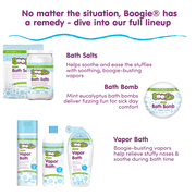 Boogie Bubbling Vapor Bath, Soothing Mint Eucalyptus, 10 fl oz