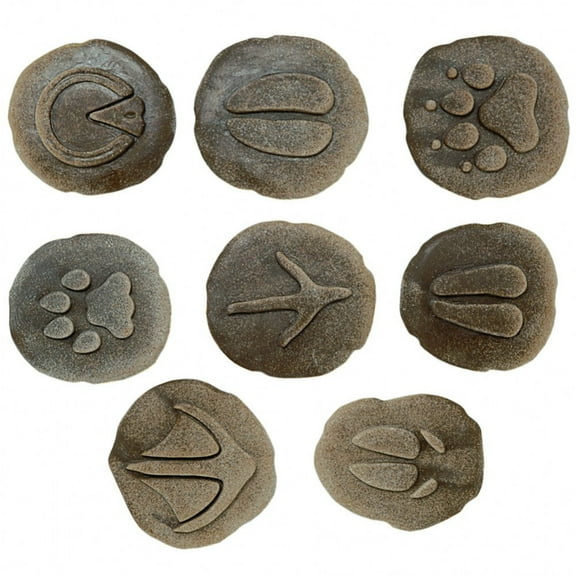 Yellow Door Let's Investigate Farmyard Footprints Stone, Pack of 8