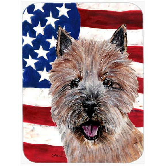 Norwich Terrier With American Flag Usa Mouse Pad, Hot Pad Or Trivet, 7.75 x 9.25 In.