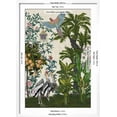 thumbnail image 3 of Paradis Chinoiserie II, Animals Botanical Framed Art Print Wall Art by Naomi McCavitt Sold by Art.Com, 3 of 6