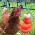 thumbnail image 2 of 1 Piezas Herramienta de Tratamiento de Alimentación de Alimentos Colgantes de Forraje Accesorios Colgantes de Jaula para Loros  Guacama jinwen  Alimentador de tenedor para frutas Bird Parrot, 2 of 8