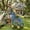 Blue, variant on Barara King Portable Metal Garden Hose Cart with 4 Rolling Wheels and Storage Basket for Outdoor Yard Lawn Irrigation Tool, Blue