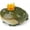 Green, variant on JKCCZLL Funny Ugly Frog Resin Case Compatible with AirPods Pro 2/1 & AirPods 4. 3D Cute Toad Hard Shell Cover with DIY Mystery Accessory. Kawaii Desk Figurine & Unique Weird Gift (Green, Pods 1/2)