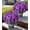 Purple, variant on Geraniums Artificial Flowers for Outdoors, 2 Pack Potted Plants Faux Geraniums Bush Artificial Topiaries Realistic UV Resistant Fake Flowers Greenery for Outside Gardens Porch Patio Yard Indoor, Mix