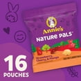 thumbnail image 2 of Annie's Organic Nature Pals Fiber Fruit Flavored Snacks, Gluten Free, 16 Count, 11.2 oz, 2 of 12