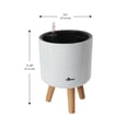 thumbnail image 4 of Algreen Modena 8.5" Self-Watering Planter with Stand, Gloss White, 4 of 6