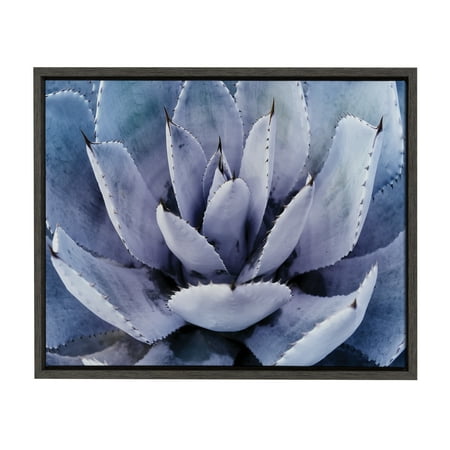 Kate and Laurel Sylvie Violet Cactus Succulent Lavender Purple Framed Canvas Art by Amy Peterson, 18x24 Gray