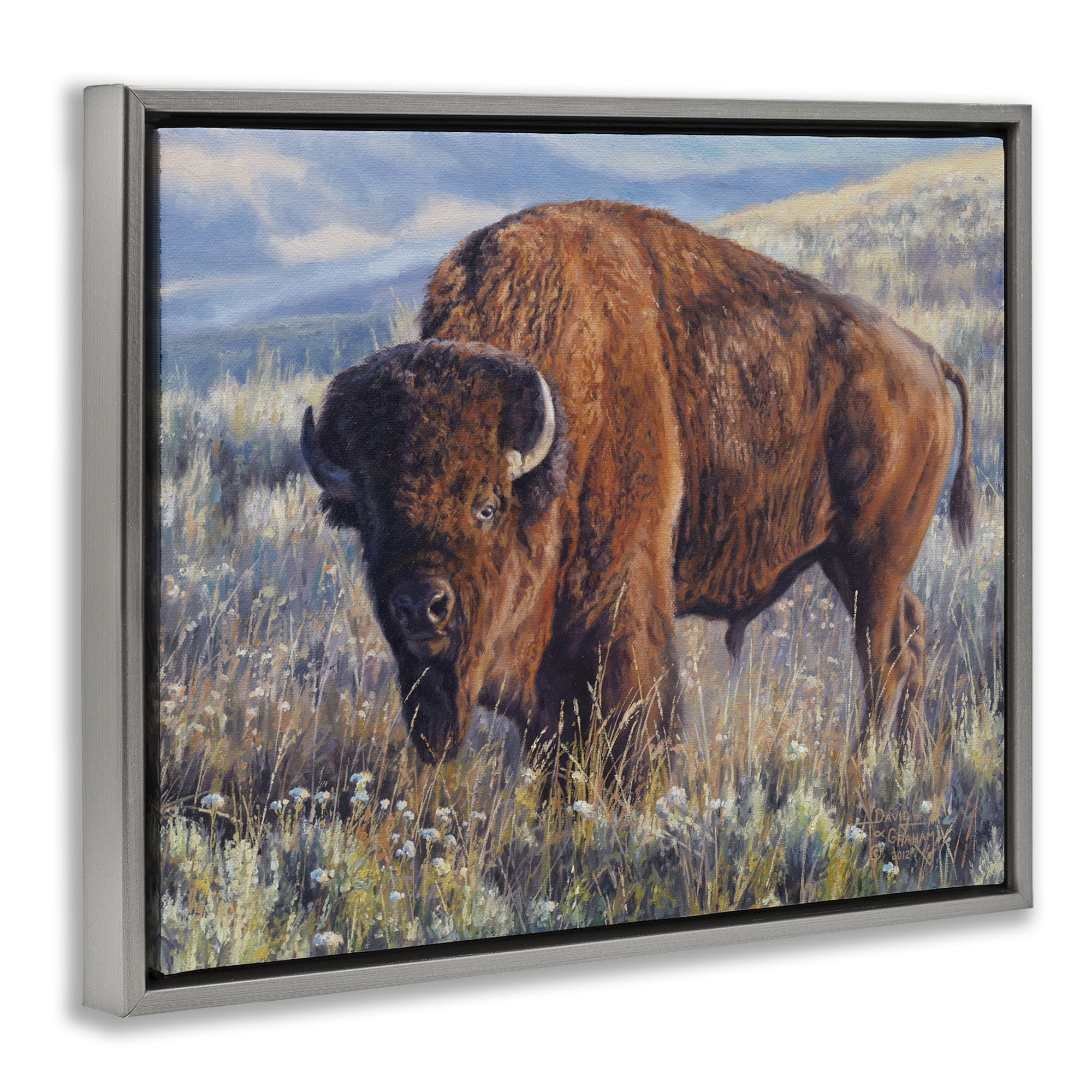 Stupell Industries Prairie King Bison Landscape Photography Gray Floater Framed Canvas Art Print Wall Art, 21 x 17