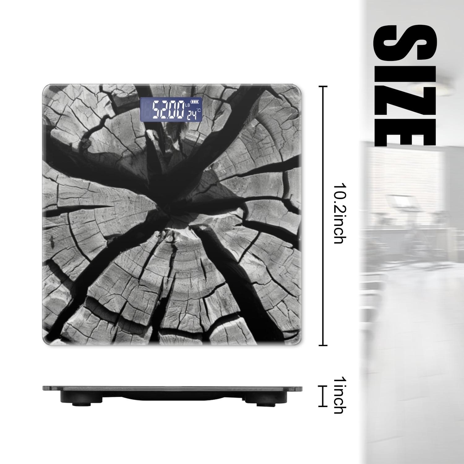 Bathroom Scale, Highly Accurate Digital Body Scale,Precisely Measures Weight up to 400 lbs-The Cross-Section Of Old Tree Trunk With Black And White