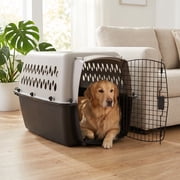 (3 pack) Vibrant Life Large Plastic Hard-Sided Pet Carrier, Black and Gray, 90 lb Limit