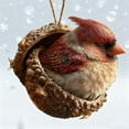 thumbnail image 4 of CSEONE Resin Forest Animal Ornaments 2 Pcs 3.14 Inch Handcrafted Sleeping Owl Bunny Hedgehog Figures in Realistic Hazelnut Shells Nature Theme Christmas Tree Decor Christmas Decorations, 4 of 5