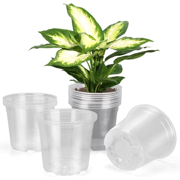 20 Pack 6 Inch Clear Nursery Pots with Drainage Holes, Large Plastic Plant Pots for Indoor and Outdoor Use, Ideal for Seedlings, Vegetables, Herbs, Orchids, and Succulents