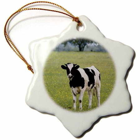 3dRose USA, Texas, Lytle, Cow in field of Wildflowers - Snowflake Ornament,