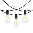 thumbnail image 4 of SAFAVIEH Dorcia 10-Light ST38 Black Metal Outdoor String Light, 4 of 7