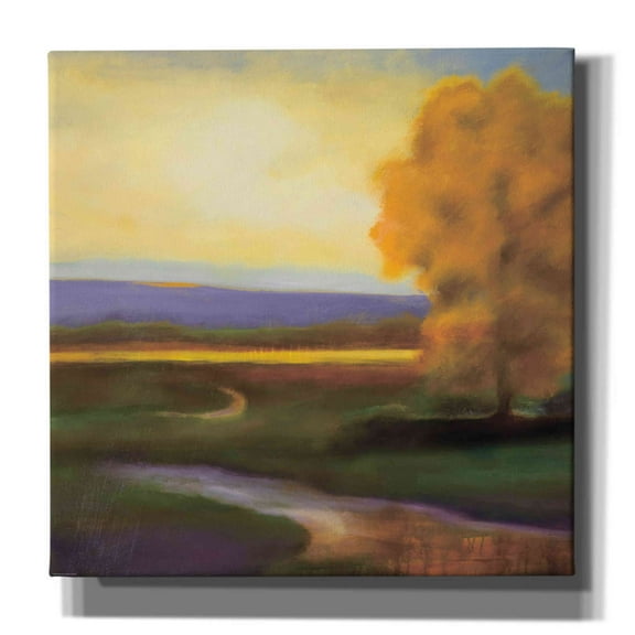 Epic Graffiti 'Country' by Jadei Graphics, Canvas Wall Art, 26"x26"