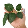 thumbnail image 7 of Unique Bargains 4pcs Betta Fish Leaf Pad Hammock Resting Hide Plants Decor Green 3.15"x1.93" with Suction Cup, 7 of 7