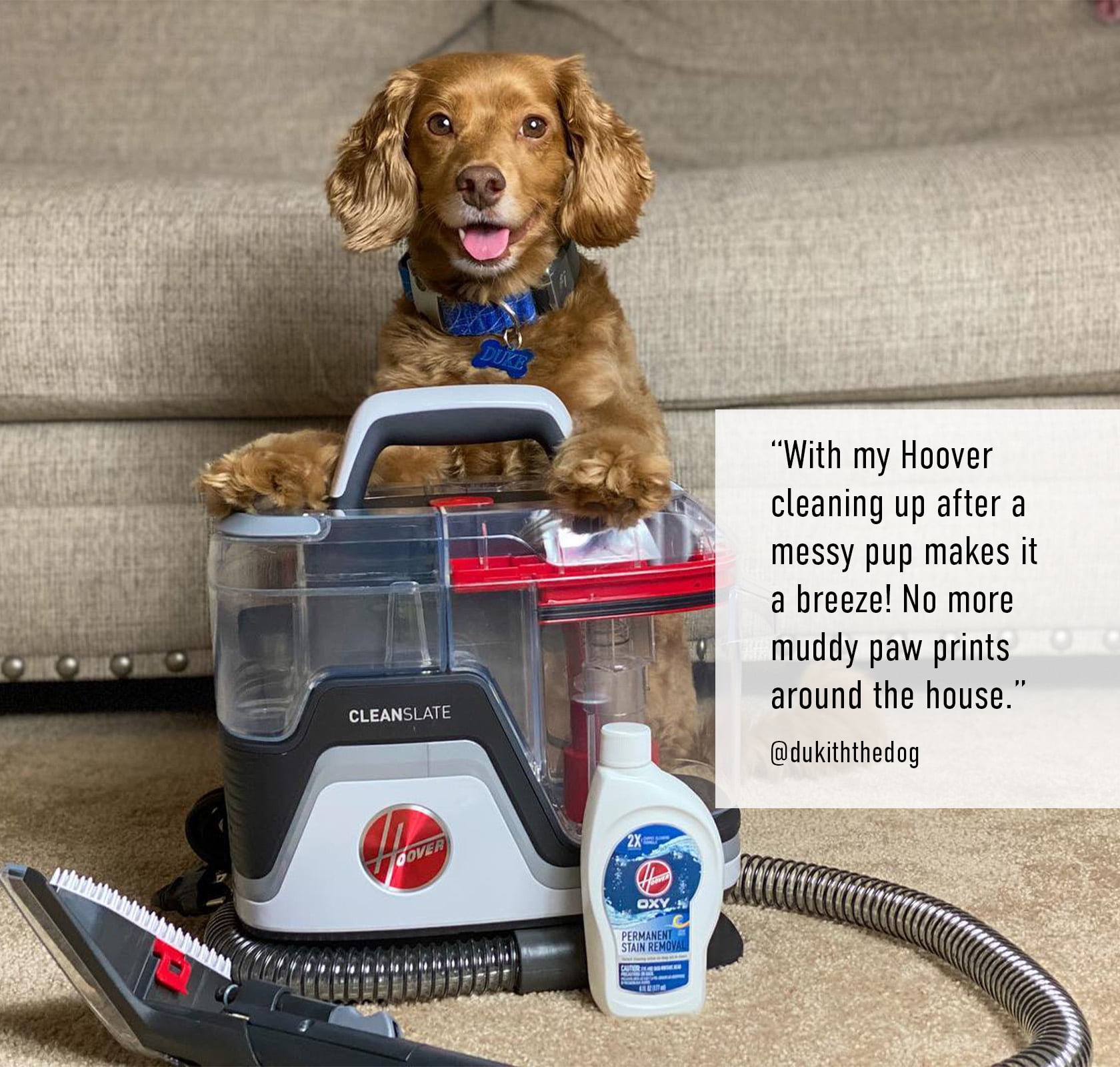 Hoover CleanSlate Pet Portable Carpet Cleaner