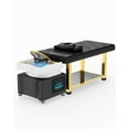 thumbnail image 2 of Artist Hand Massage Shampoo Bed with Head Spa Bowl,LED Lights Therapy,Water Circulation,Constant Temperature,Salon Beauty Backwash Unit(Black & Gold), 2 of 16