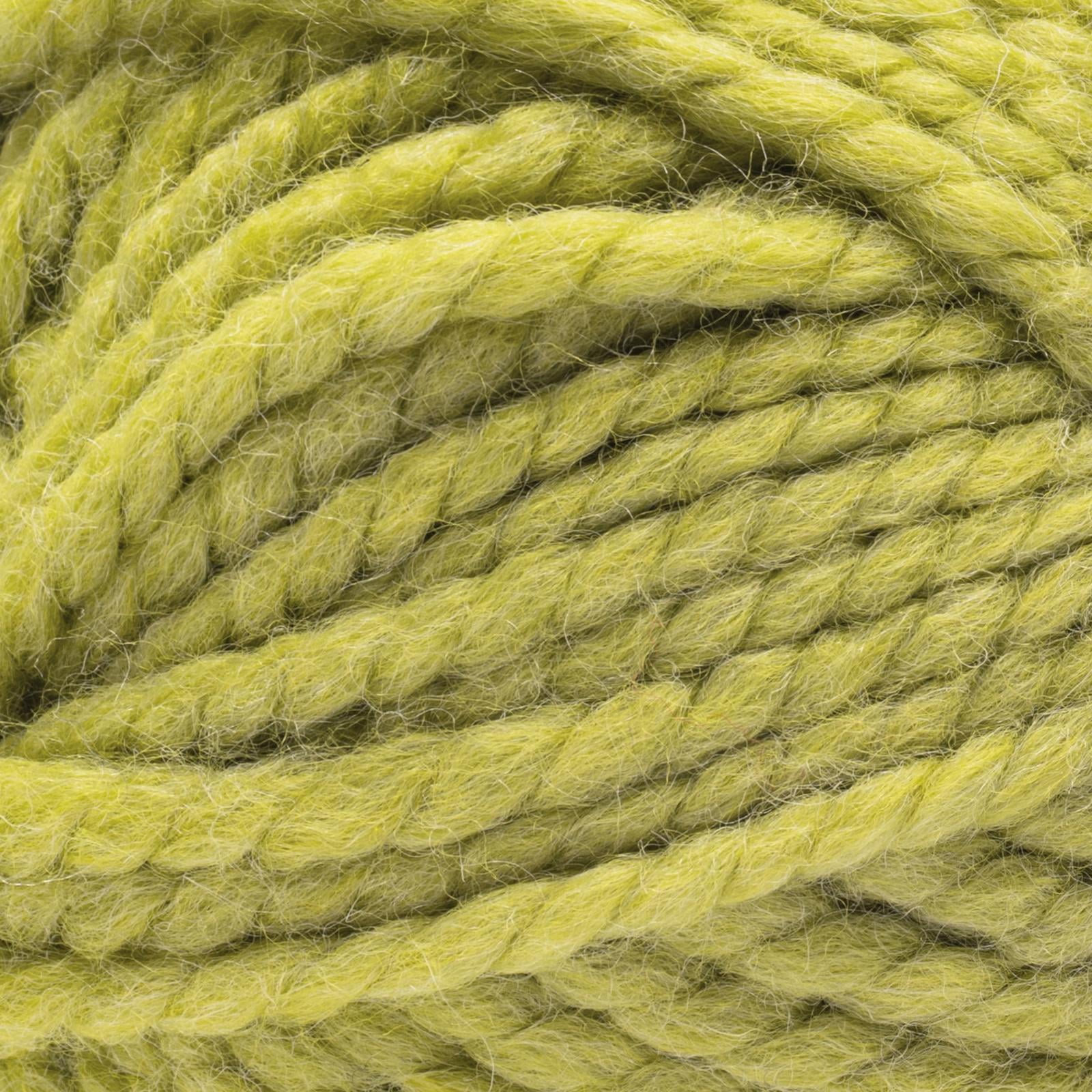 Bernat® Future Recycled Wool™ #6 Super Bulky Blend Yarn, Acidic Moss 6oz/170g 108 Yards (3 Pack)