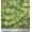 Light Green, variant on Soimoi Green Cotton Duck Fabric Buildings Architectural Print Sewing Fabric Yard 44 Inch Wide
