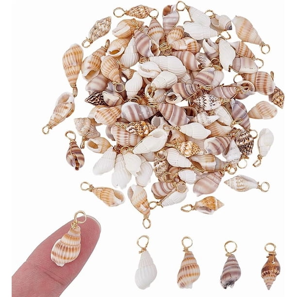 100 colgantes de concha natural de 4 estilos, cuentas artesanales de concha de cauri, colgantes de concha de verano con alambre de cobre para encontrar conchas pequeñas.