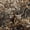 Taupe Brown Cream, variant on Castle Fairy Teens Vintage Autumn Bear Deer 7-Piece Twin Bedding,Autumn Tree Leaves Bedding Comforter Set,Brown Orange Black,Black Reversible