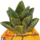 thumbnail image 4 of 13cm Aquarium Fish Tank Ornament Cartoon Resin Pineapple House Decoration, 4 of 4