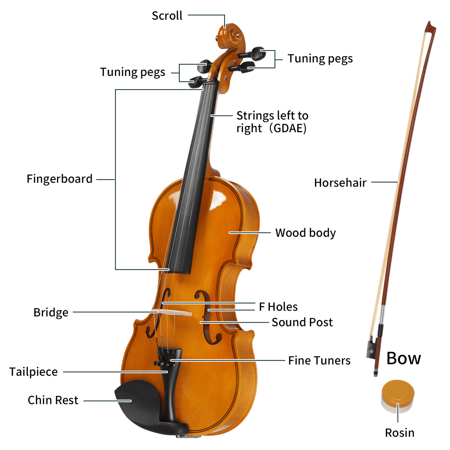 Hassch 4/4 Violin for Beginners, Fiddle with Case, Bow, Rosin, Sordine, Extra Strings and Shoulder Rest, Natural