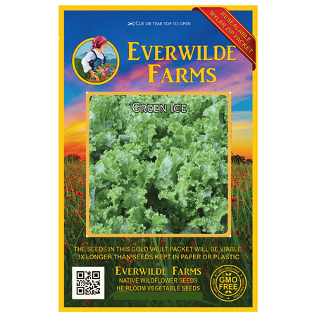 Everwilde Farms - 1000 Green Ice Leaf Lettuce Seeds - Gold Vault Jumbo Bulk Seed Packet
