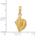 thumbnail image 5 of 14K Yellow Gold Solid Polished Conch Shell Pendant (21 X 10) Made In United States c3369, 5 of 6