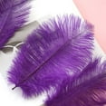 thumbnail image 2 of 50 Pcs Colourful Plumage For Wedding Party Centerpieces Flower Arrangement Home Decoration Diy Middle Floating Plume Hair Clothing Craft Decoration Plumage, 2 of 3