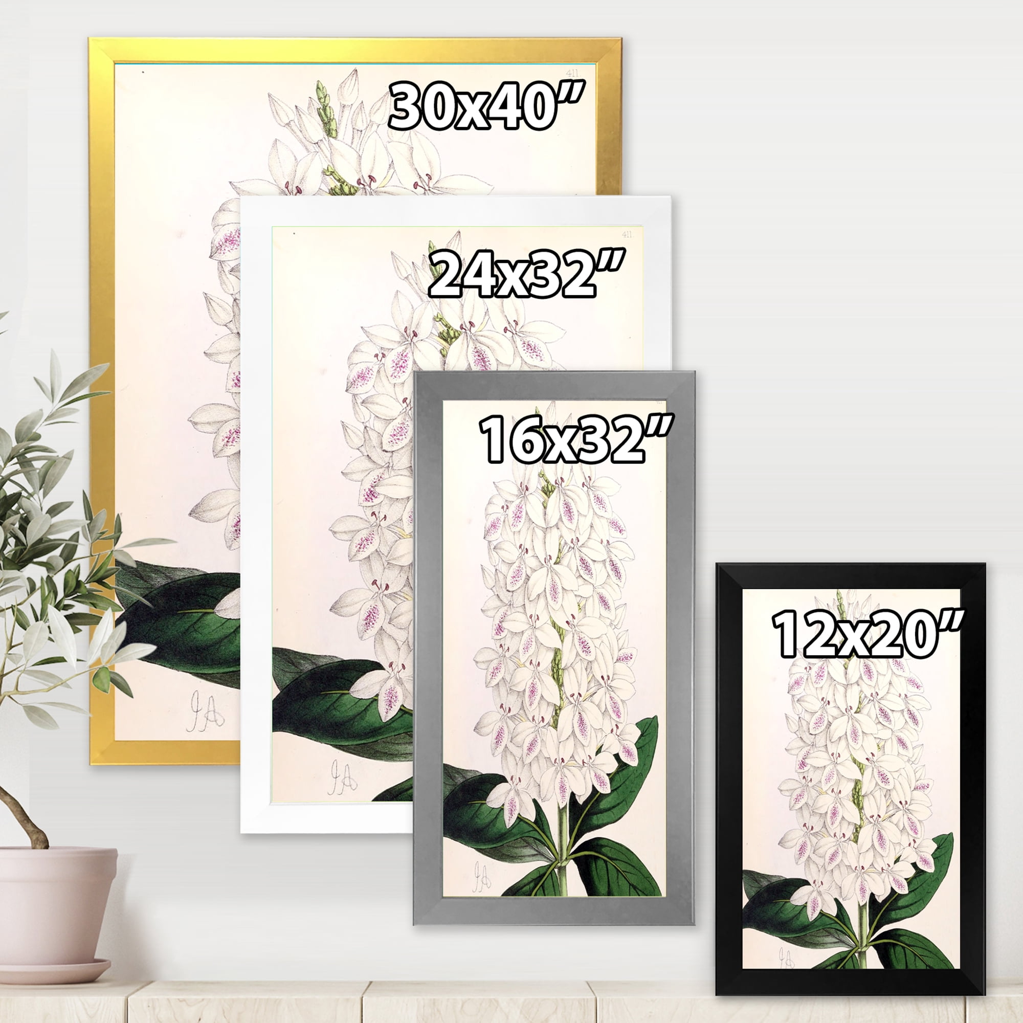 Designart 'Ancient White Orchid III' Traditional Framed Art Print