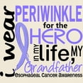 thumbnail image 3 of CafePress - Hero In Life 2 Esophageal Cancer Light T Shirt - Men's Classic Graphic T-Shirt, 3 of 4