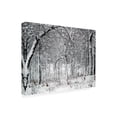 thumbnail image 2 of Clive Branson 'Trees In Snow' Canvas Art, 2 of 3