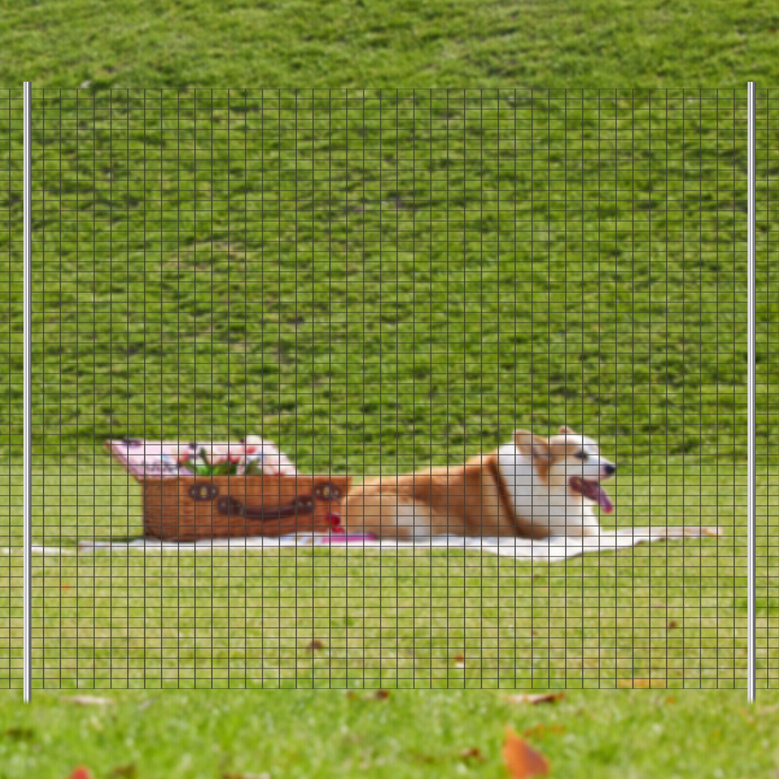 48inx100ft Hardware Cloth 1/2 in Square Chicken Wire Netting Rabbit Fence Roll