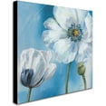 thumbnail image 2 of Trademark Fine Art "Blue Dance III" Canvas Art by Lisa Audit, 2 of 6