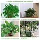 thumbnail image 5 of Bearachild Clips para plantas de 100 piezas, hebilla de accesorio para tallo de flores, soporte para verduras de jardín, soporte de Jardín y Patio blanco METRO, 5 of 6