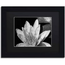 Trademark Fine Art "Water Lily in Black and White" Canvas Art by Kurt Shaffer, Black Matte, Black Frame