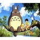 thumbnail image 2 of 5D DIY Kit Totoro Del Arte Artesanal 50x40cm, 2 of 9