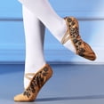 thumbnail image 2 of Zapato de baile de Ballet con estampado de moda para mujer, zapatillas de Ballet de suela blanda para niñas, Yoga, gimnasio, zapatos planos de baile, zapatos de bailarina, 2 of 5