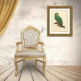 thumbnail image 3 of Barraband 25x32 Gold Ornate Wood Framed with Double Matting Museum Art Print Titled - Barraband Parrot, PL 110, 3 of 4
