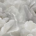 thumbnail image 3 of Fine Art Canvas Soft Peony Lace White by Nan Canvas Art Print, 3 of 4